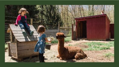 Two children interacting with a brown alpaca in a sunny farmyard near a red barn and wooden doghouse
