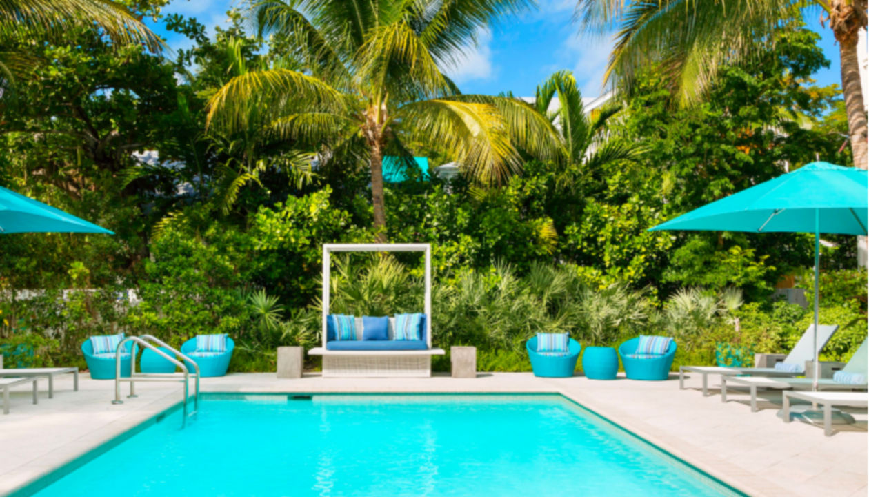 A tropical poolside with loungers, umbrellas and palm trees.