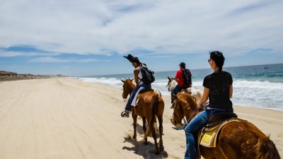 A group of people riding horses on the beach.